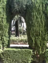 Hedge in Spain