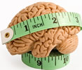 Brain