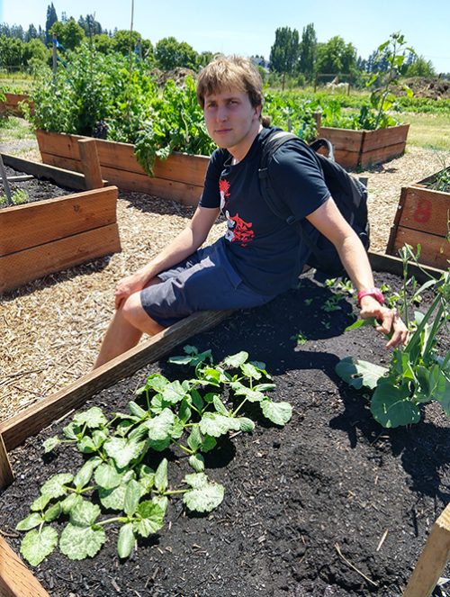 student tends to plants in sunny raised bed 