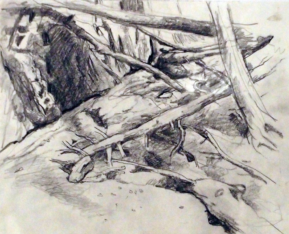 Untitled (Forest floor)