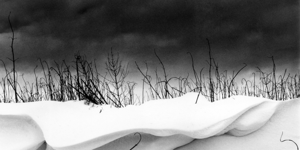 Snow Drift