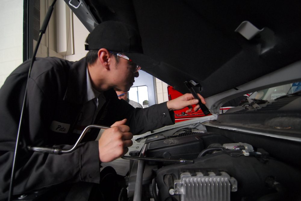 Automotive Services student looking at a car motor