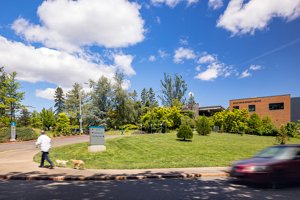 Sylvania parking lot entrance