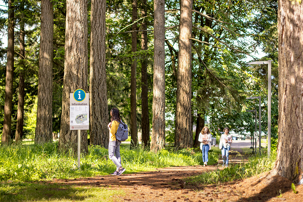 Sylvania entrance pathway through the forest