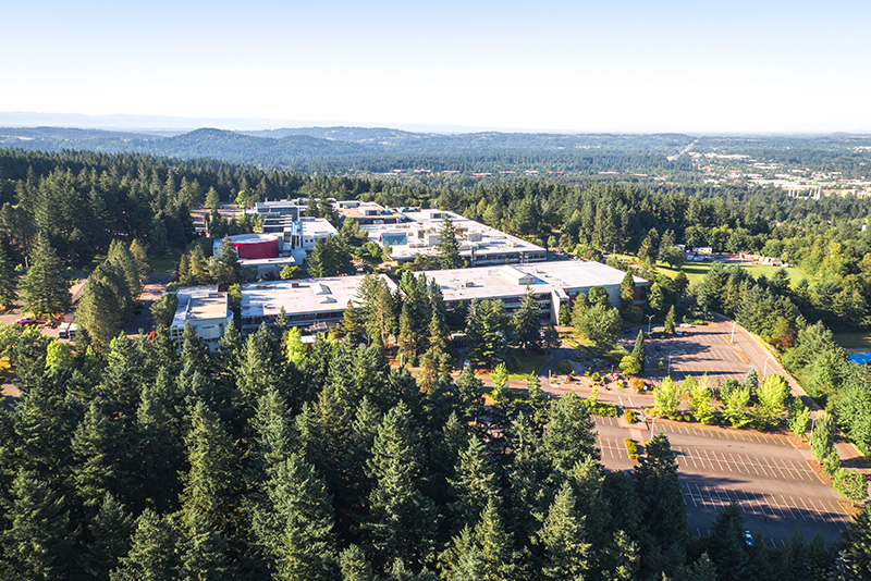 Trees at Sylvania Campus from above