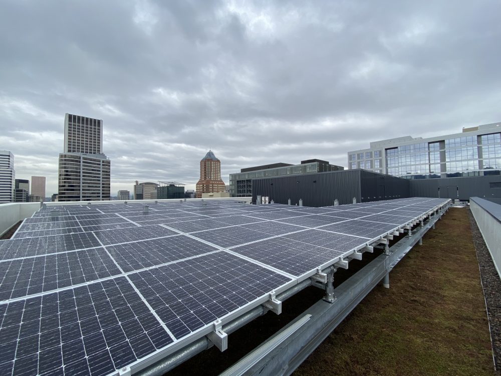 Solar panels installed on the roof