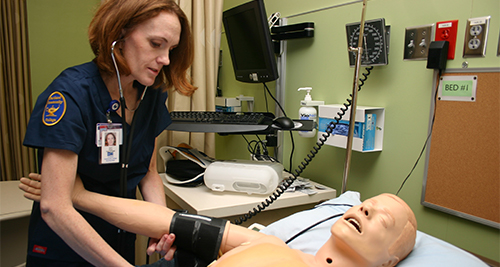 student training for healthcare career