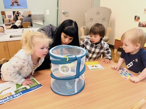 Grasshopper classroom