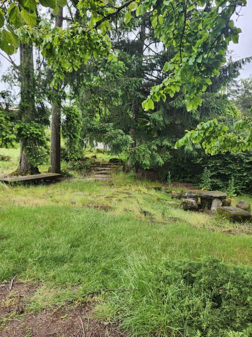 Grassy meadow with stone benches