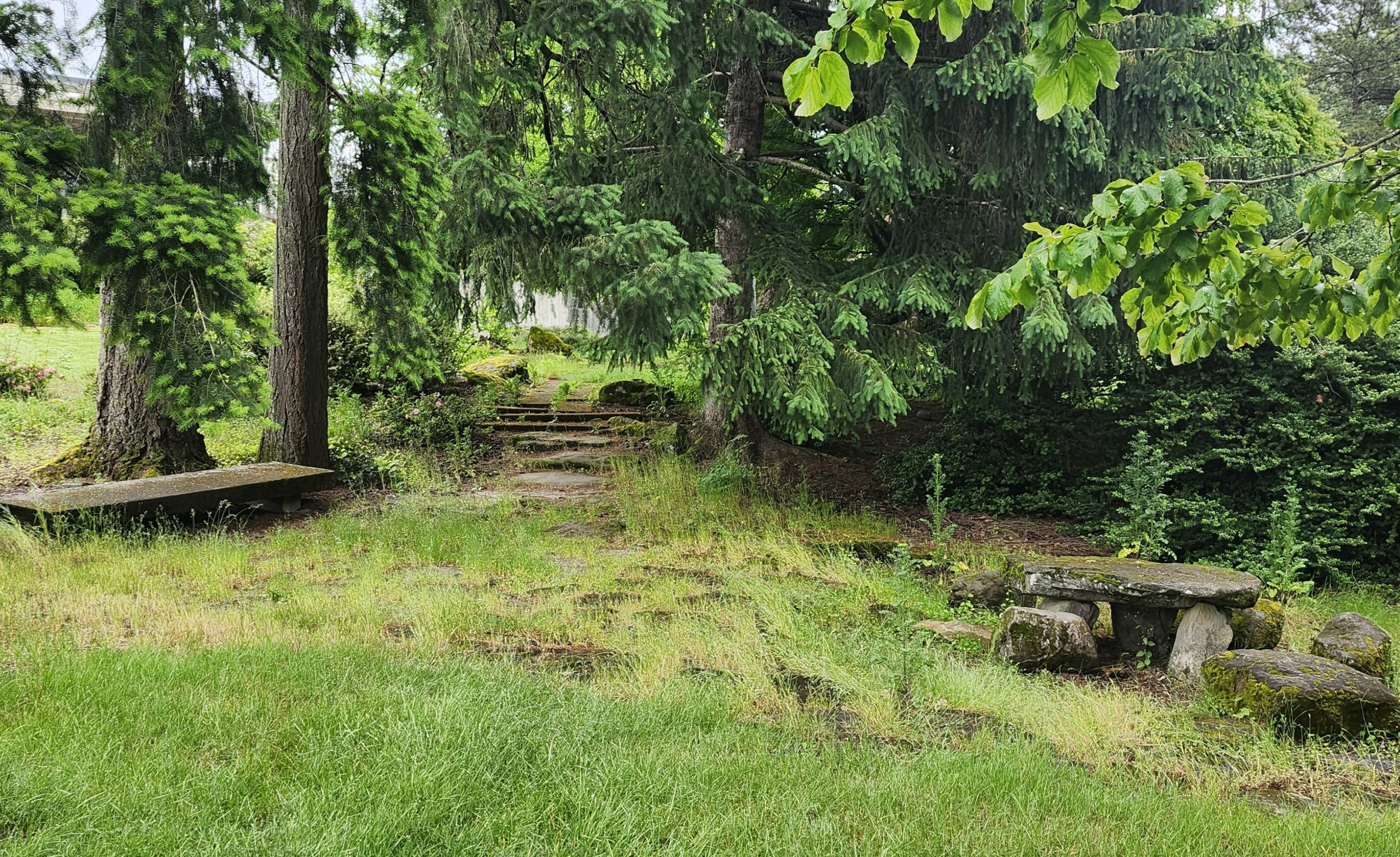 Grassy meadow with stone benches
