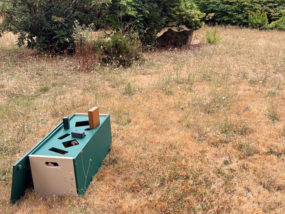 Grass play area and wooden blocks