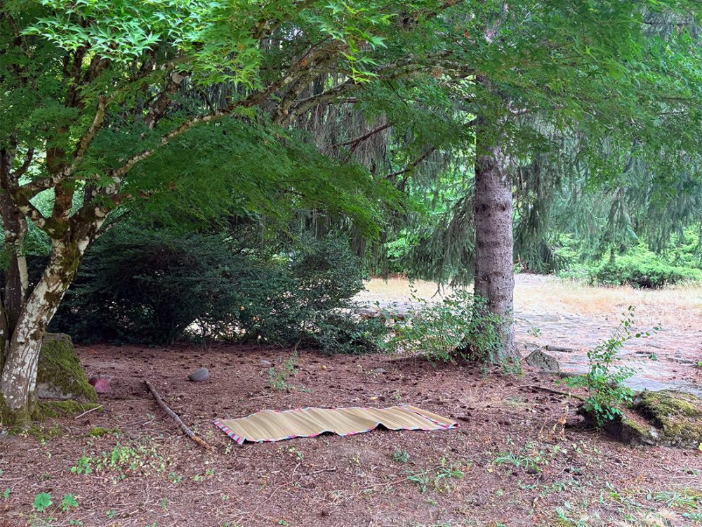 Seating mat under some pretty trees