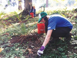 nature conservancy volunteer-portland