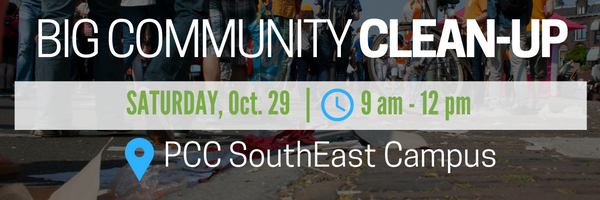 se-big-community-clean-up