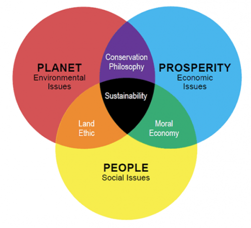 Social Entrepreneurship Diagram