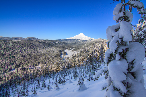Majestic View of Mt. Hood on a bright, sunny day during the Winter months.