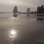 Enyart photo