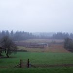 View from the lab of a field outside