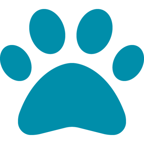 Digital Literacy at PCC