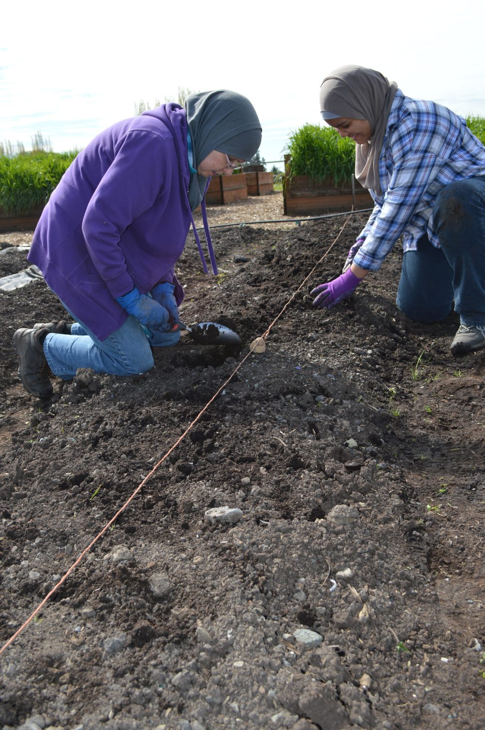 PCC Learning GardenEarth Week Work Party 2018