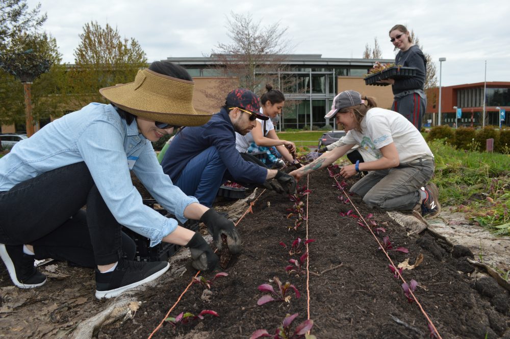 PCC Learning GardenEarth Week Work Party 2018