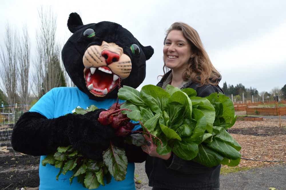 Poppe & Nora PCC 2016