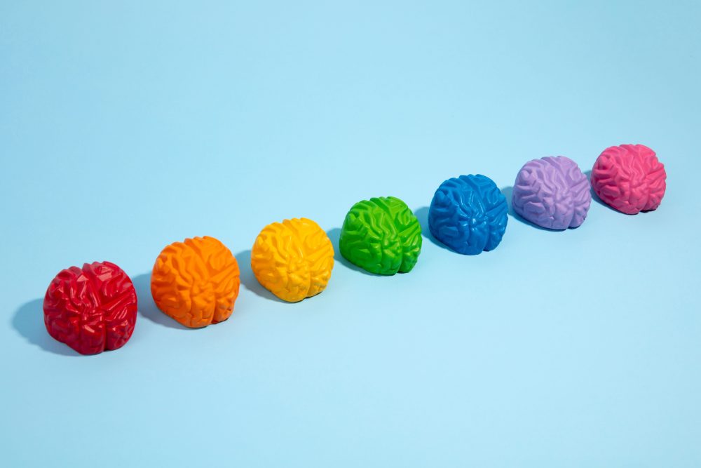 Seven differently colored brains making a rainbow.