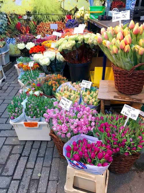 Flower market, Amsterdam, Netherlands