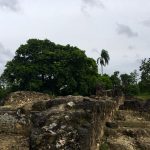 Photo of a student standing next to ruins with trees in the background.