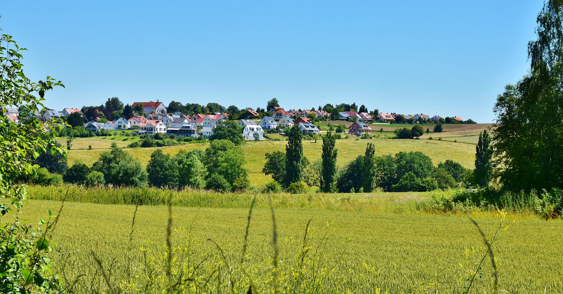 A town composed of houses located in the distance beyond a green grass meadow with trees in the middle.