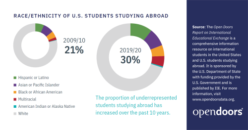 chart displaying the race and ethnicity of U.S. students who studied abroad in 2019-2020 