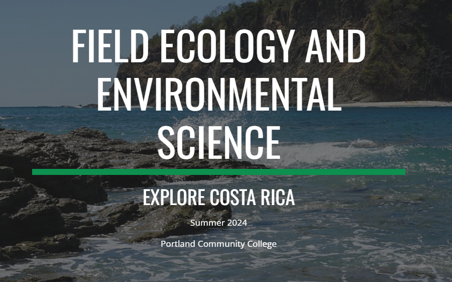 ocean waves on a tropical beach