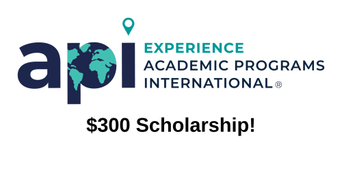 API logo, text: $300 scholarship