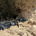 Office Choice Award, Kaitlin Kazanjian