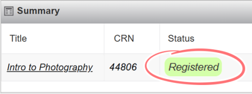 alt="screenshot of the summary section showing Registered in the status column"