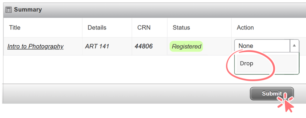screenshot of summary section with the dropdown in the action column open and Drop circled. Under the dropdown, the Submit button is highlighted