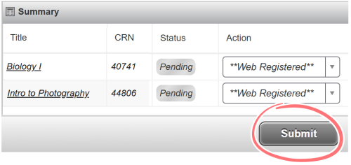 screenshot of summary section with submit button circled