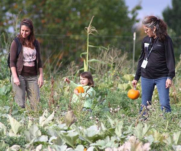 Women and girl in pumpkin patch holding pumpkins