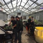 Grounds at SY Greenhouse