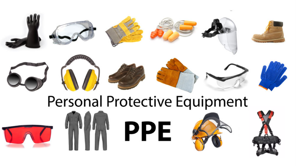 Examples of PPE including eye, hand, hearing, and fall protection