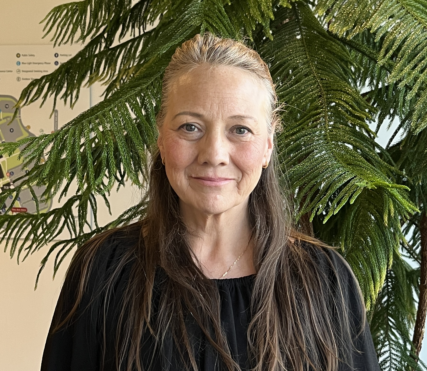 Placeholder image saying Picture Coming Soon