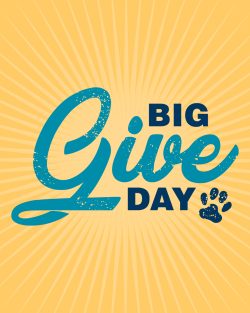 Big Give Day logo on yellow background