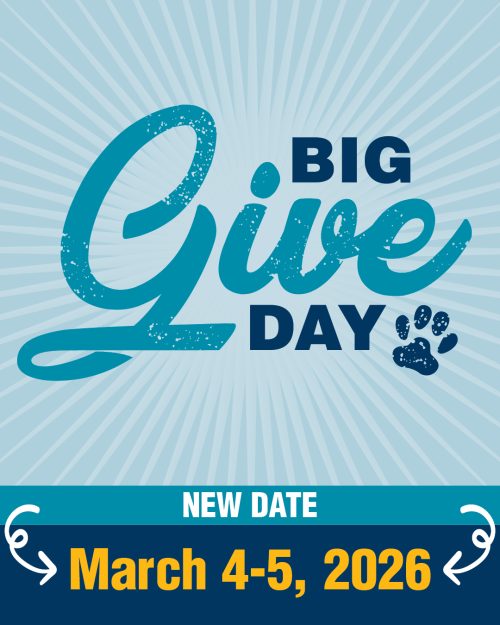 Graphic that says "Big Give Day. New Date. March 4-5, 2026"