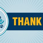 Big Give Day: Thank you!