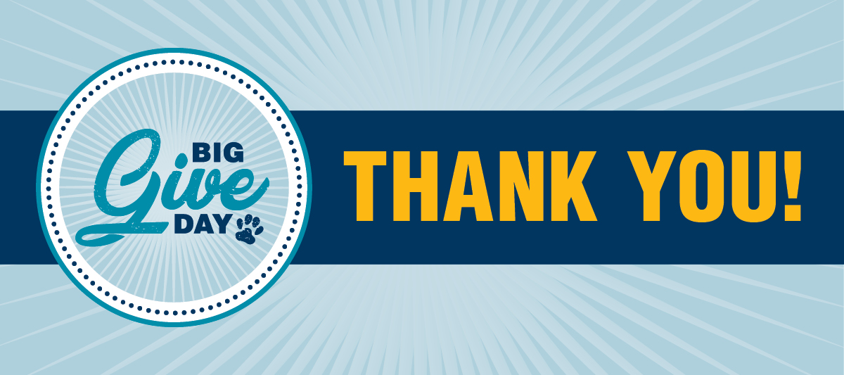 Big Give Day: Thank you!