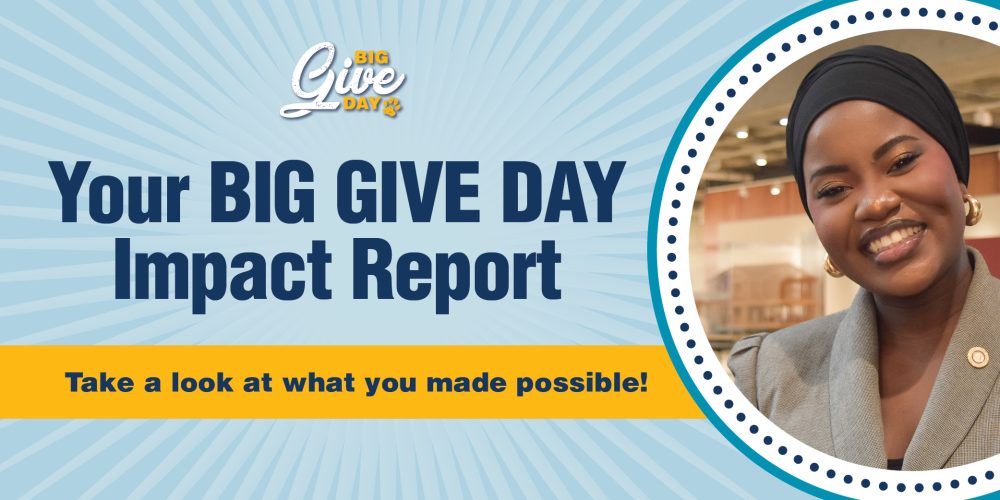 Graphic that says Your Big Give Day Impact Report Report
