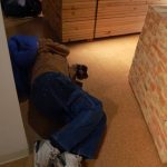 on Wednesday - Image 2