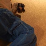 on Wednesday - Image 3