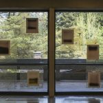 10 abstract landscape photos mounted on 2 large windows that look outside to a view of trees and a concrete walkway.