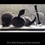 A Wild Shining of Pure Unknown